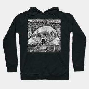 AnimalArtBW Polarbear 001 Hoodie